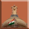 Basic political science icon