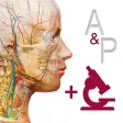 Anatomy & Physiology APK