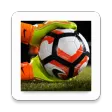 Potent Betting Tips icon