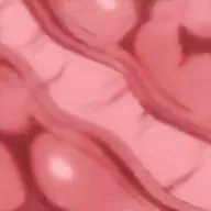 Flappy Sperm icon