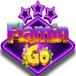 FlaminGo APK