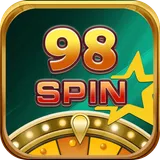 98 Spin icon