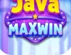 Java Maxwin icon