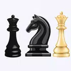 Chess - Offline 2 Player icon