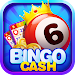 Bingo Cash - Win Real Money icon