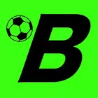 Bid XI icon
