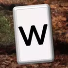 Word Cruise APK