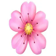 BB Dating Apps icon