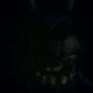 Five Nights at Bonnie's Remake APK